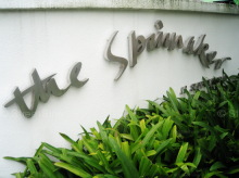 The Spinnaker (D11), Apartment #1139662